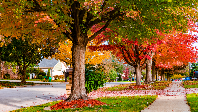 Here are 9 ways to get ready for fall