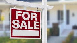 2025 Year-End Market Insights