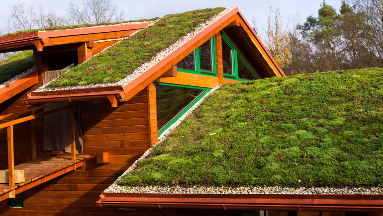 7 green ideas to consider when buying a home