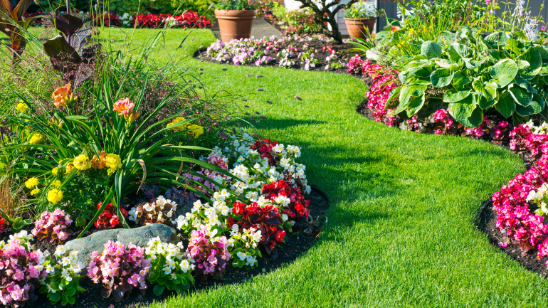 Taking care of your yard during a heat wave and drought  